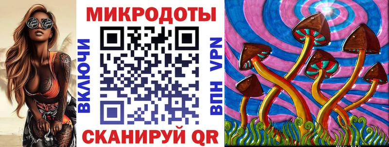 Галлюциногенные грибы мухоморы  omg как войти  Чухлома 